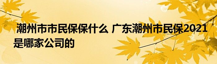潮州市市民保保什么 广东潮州市民保2021是哪家公司的