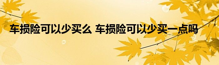 车损险可以少买么 车损险可以少买一点吗