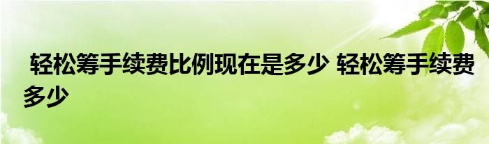 轻松筹手续费比例现在是多少 轻松筹手续费多少