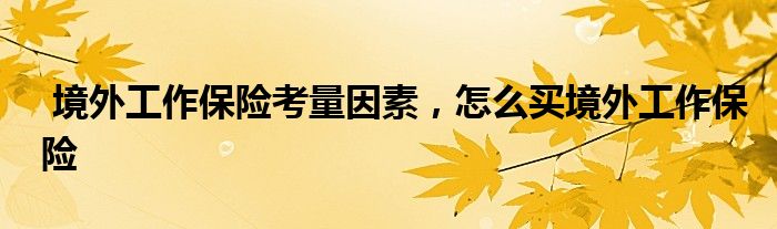 境外工作保险考量因素，怎么买境外工作保险