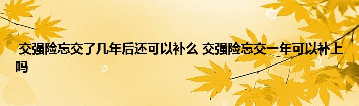 交强险忘交了几年后还可以补么 交强险忘交一年可以补上吗