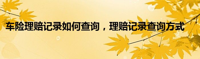 车险理赔记录如何查询，理赔记录查询方式