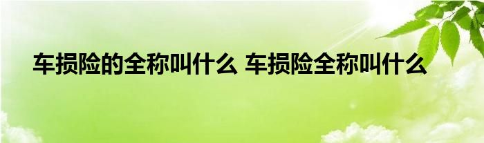 车损险的全称叫什么 车损险全称叫什么