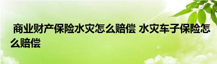 商业财产保险水灾怎么赔偿 水灾车子保险怎么赔偿