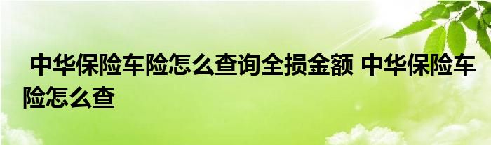 中华保险车险怎么查询全损金额 中华保险车险怎么查