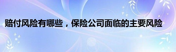 赔付风险有哪些，保险公司面临的主要风险