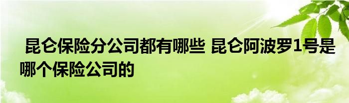 昆仑保险分公司都有哪些 昆仑阿波罗1号是哪个保险公司的