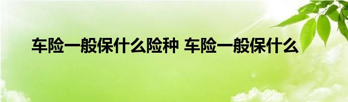 车险一般保什么险种 车险一般保什么