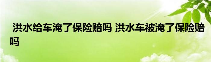 洪水给车淹了保险赔吗 洪水车被淹了保险赔吗