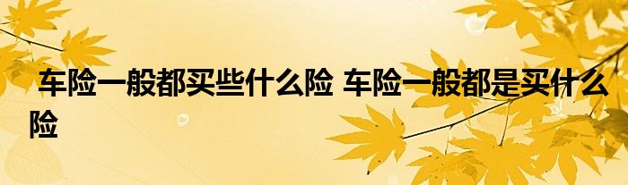 车险一般都买些什么险 车险一般都是买什么险