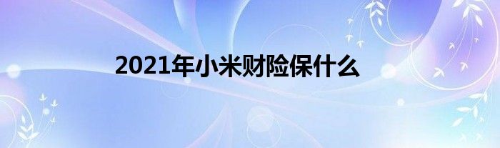 2021年小米财险保什么