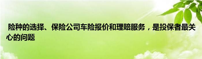 险种的选择、保险公司车险报价和理赔服务，是投保者最关心的问题