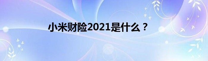 小米财险2021是什么？