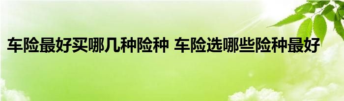 车险最好买哪几种险种 车险选哪些险种最好