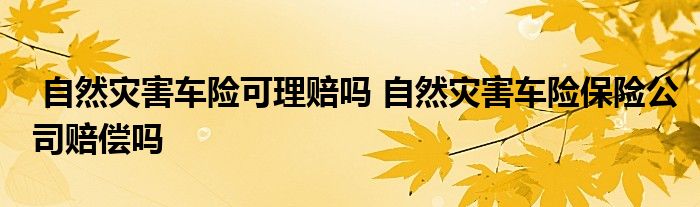 自然灾害车险可理赔吗 自然灾害车险保险公司赔偿吗