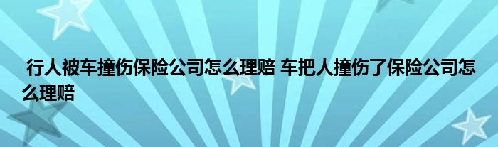 行人被车撞伤保险公司怎么理赔 车把人撞伤了保险公司怎么理赔