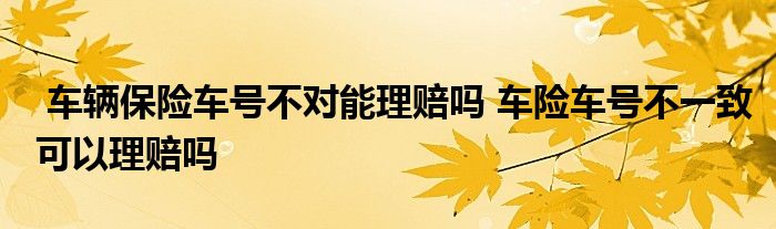 车辆保险车号不对能理赔吗 车险车号不一致可以理赔吗