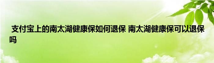 支付宝上的南太湖健康保如何退保 南太湖健康保可以退保吗