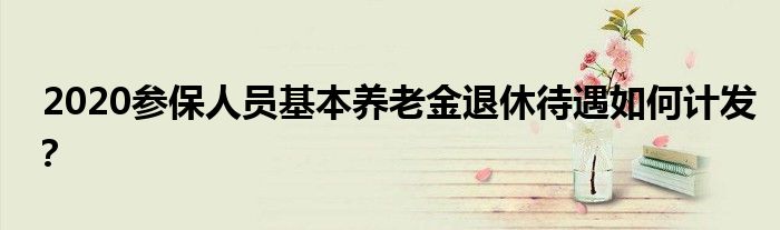 2020参保人员基本养老金退休待遇如何计发？