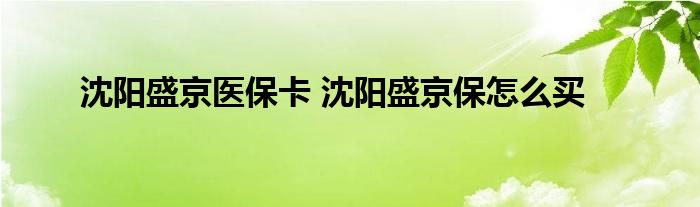 沈阳盛京医保卡 沈阳盛京保怎么买