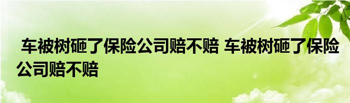 车被树砸了保险公司赔不赔 车被树砸了保险公司赔不赔