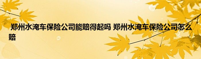 郑州水淹车保险公司能赔得起吗 郑州水淹车保险公司怎么赔