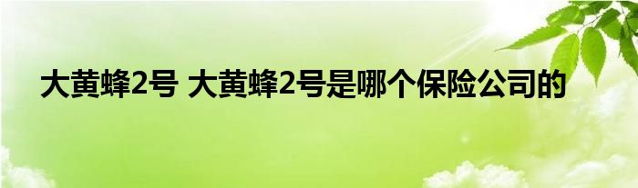 大黄蜂2号 大黄蜂2号是哪个保险公司的