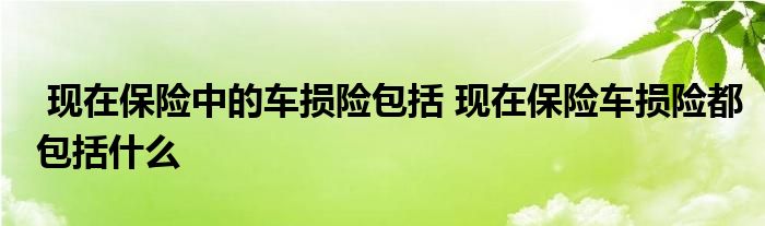 现在保险中的车损险包括 现在保险车损险都包括什么