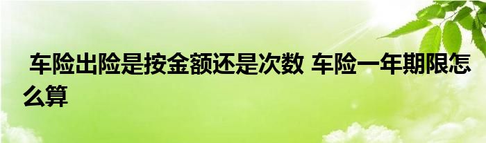 车险出险是按金额还是次数 车险一年期限怎么算