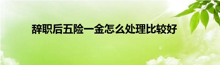 辞职后五险一金怎么处理比较好