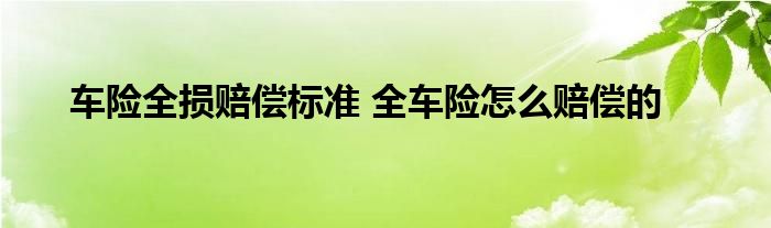 车险全损赔偿标准 全车险怎么赔偿的