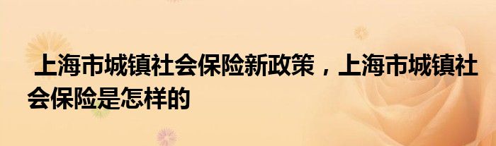 上海市城镇社会保险新政策，上海市城镇社会保险是怎样的