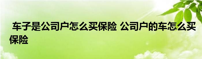 车子是公司户怎么买保险 公司户的车怎么买保险