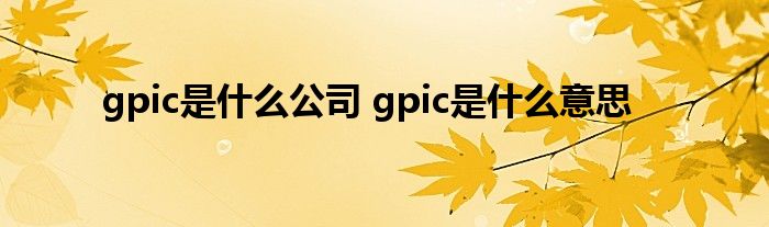 gpic是什么公司 gpic是什么意思