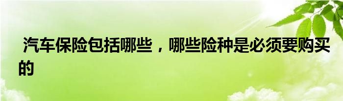 汽车保险包括哪些，哪些险种是必须要购买的