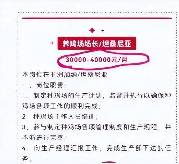 月薪4万招人去非洲养鸡?环境艰苦,报酬真实