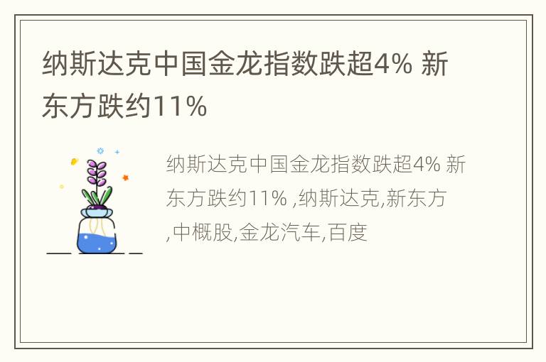 纳斯达克中国金龙指数跌超4% 新东方跌约11%