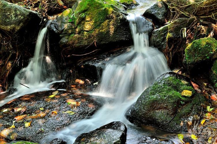 正品购物app有哪些 京东入驻条件及费用2022