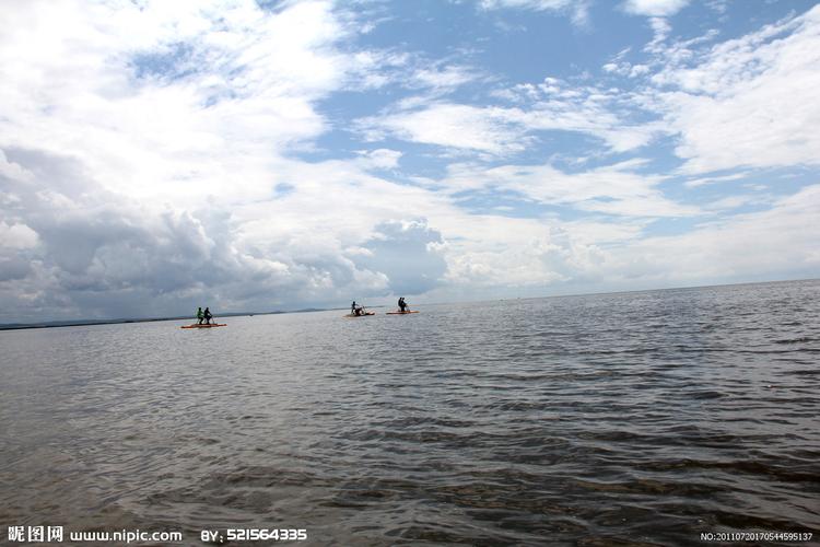 经典的鲜花寄语 有祝福花语的花