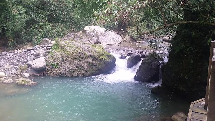 山茶花的花语是 白色山茶花席慕容原文