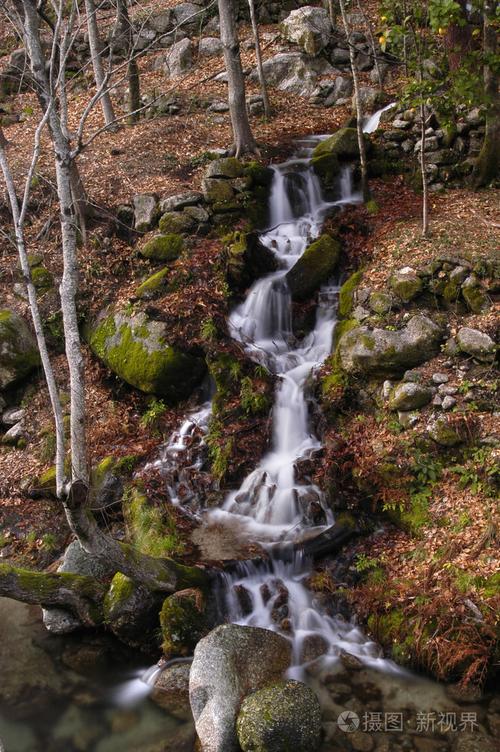 虾菜谱家常菜做法大全