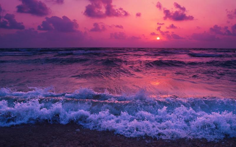 尊敬的话语 暖心 简短 关于爱师长的作文